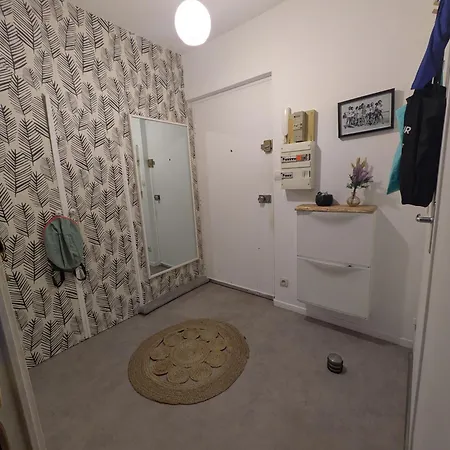 Rez De Jardin 公寓 里尔