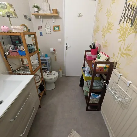 Rez De Jardin 公寓 里尔